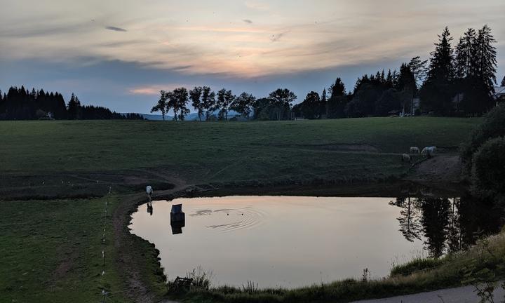 Gasthaus Zum Hirschen